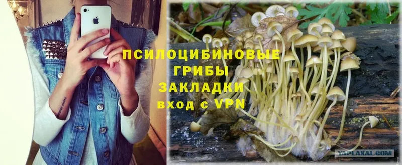 omg ССЫЛКА  Балаково  Псилоцибиновые грибы MAGIC MUSHROOMS  что такое наркотик 